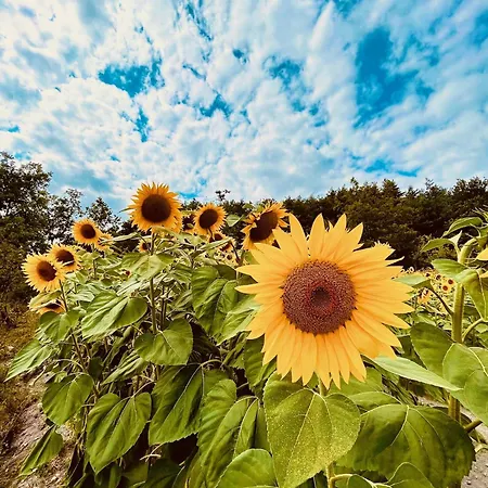 Дом отдыха La Croix Bouteilles-Saint-Sebastien